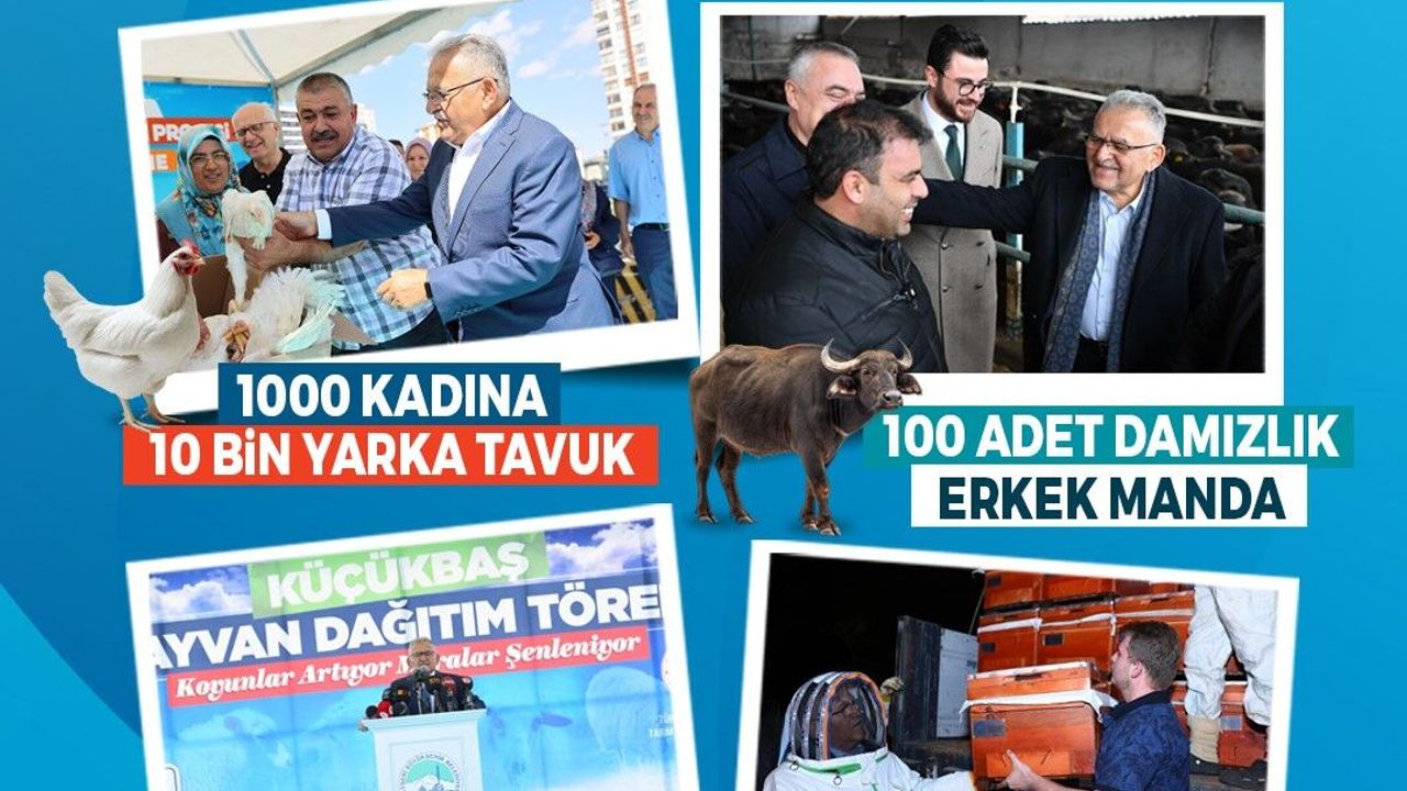 Büyükşehir ile Kayseri, hayvancılıkta yükselişte