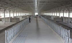 BU TESİS KİME PEŞKEŞ ÇEKİLECEK?