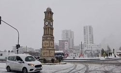 Diyarbakır'ın dört ilçesinde okullara kar tatili