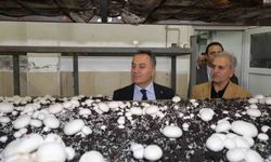 TOGÜ'de üretime dayalı eğitim modelleri güçleniyor