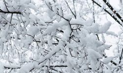 Kayseri’de hafta sonu: Çok bulutlu ve kar yağışlı