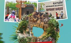 Hayvanat Bahçesi bayramda ücretsiz