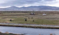 Hürmetçi'de sıcak asfalt, çevre temizliği ve yeşil alan atağı