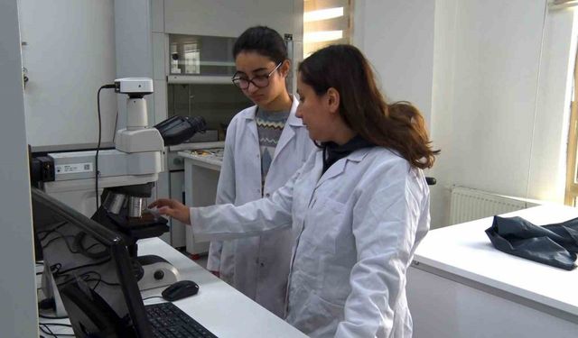 BTÜ’den Türkiye’de bir ilk: Lise öğrencileri bir ay boyunca üniversiteli oldu