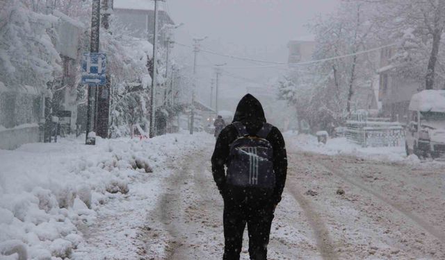 Düzce'nin Yığılca ilçesinde okullar tatil
