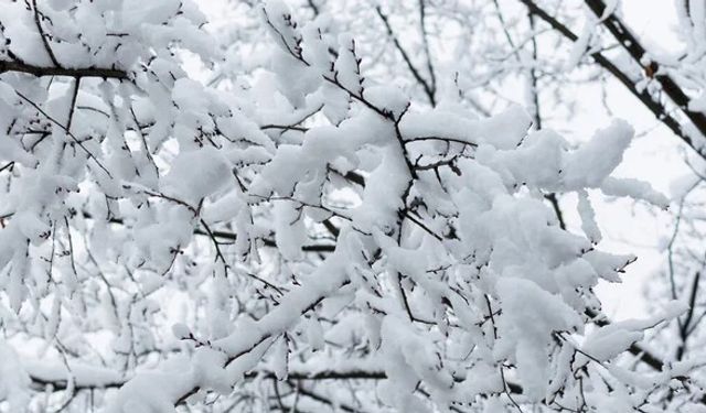 Kayseri’de hafta sonu: Çok bulutlu ve kar yağışlı