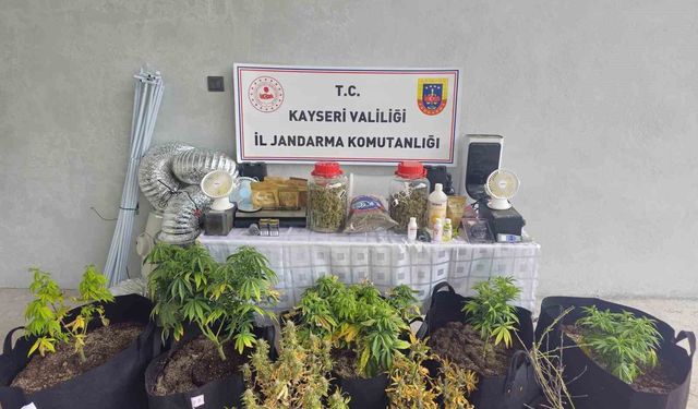 Kayseri'de evinde uyuşturucu yetiştiren şüpheli gözaltına alındı