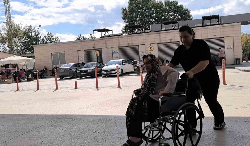 Piknik yaparken yılan ısırdı, hastaneye kaldırıldı