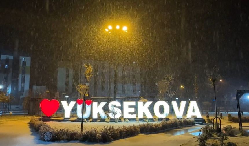 Yüksekova'da lapa lapa kar yağışı