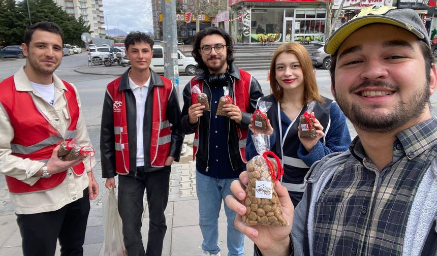 Üniversiteli gönüllü öğrencilerden Dünya Sokak Hayvanları Gününde anlamlı etkinlik
